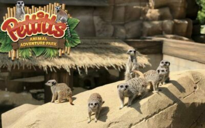 Theme Parks and Funfairs